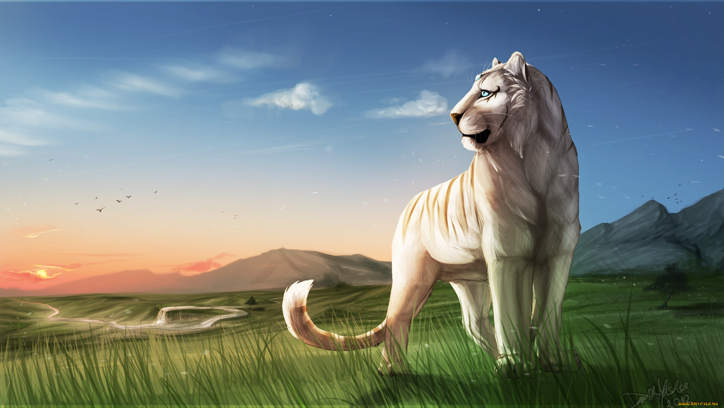  ,  , animals, , 